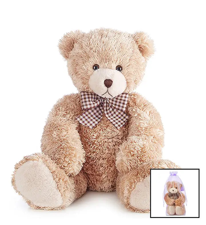 Lotsa Love Bear