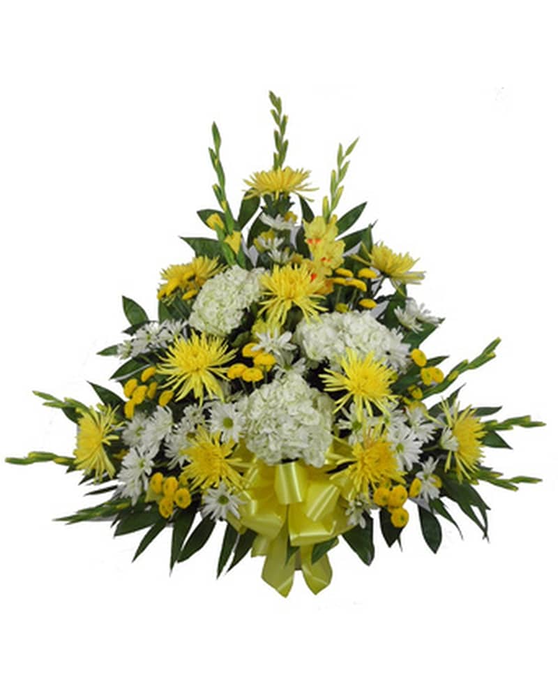 Sunshine Sentiments Glads and Hydrangea Mache