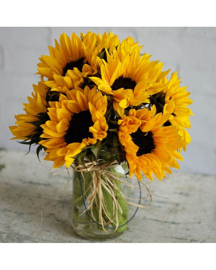 Rustic Radiance