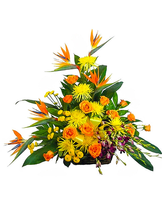 Tropical Paradise Birds of Paradise Rustic Basket
