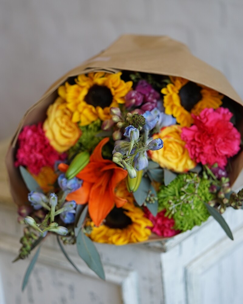 Boho Bolds